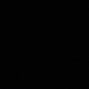 Meet your Posher, Malia